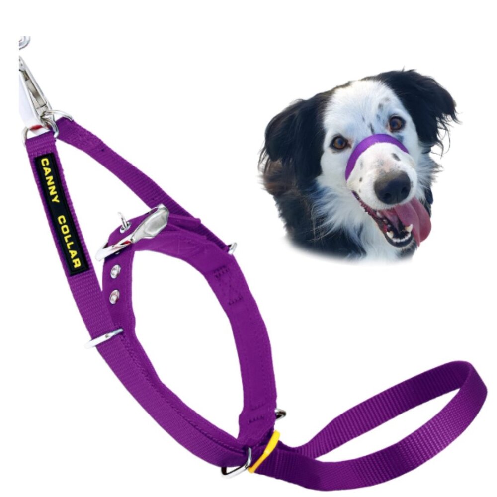 Canny Collar No-Pull Dog Head Collar Training Aid Small Dogs Purple Size 2